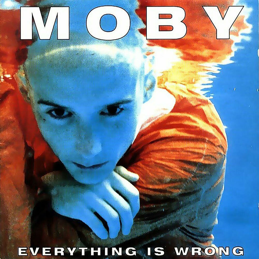 Picture of Everything Is Wrong
