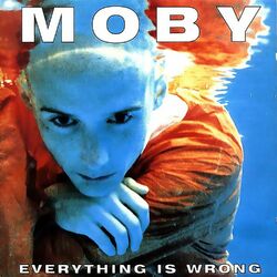 Cover of Everything Is Wrong