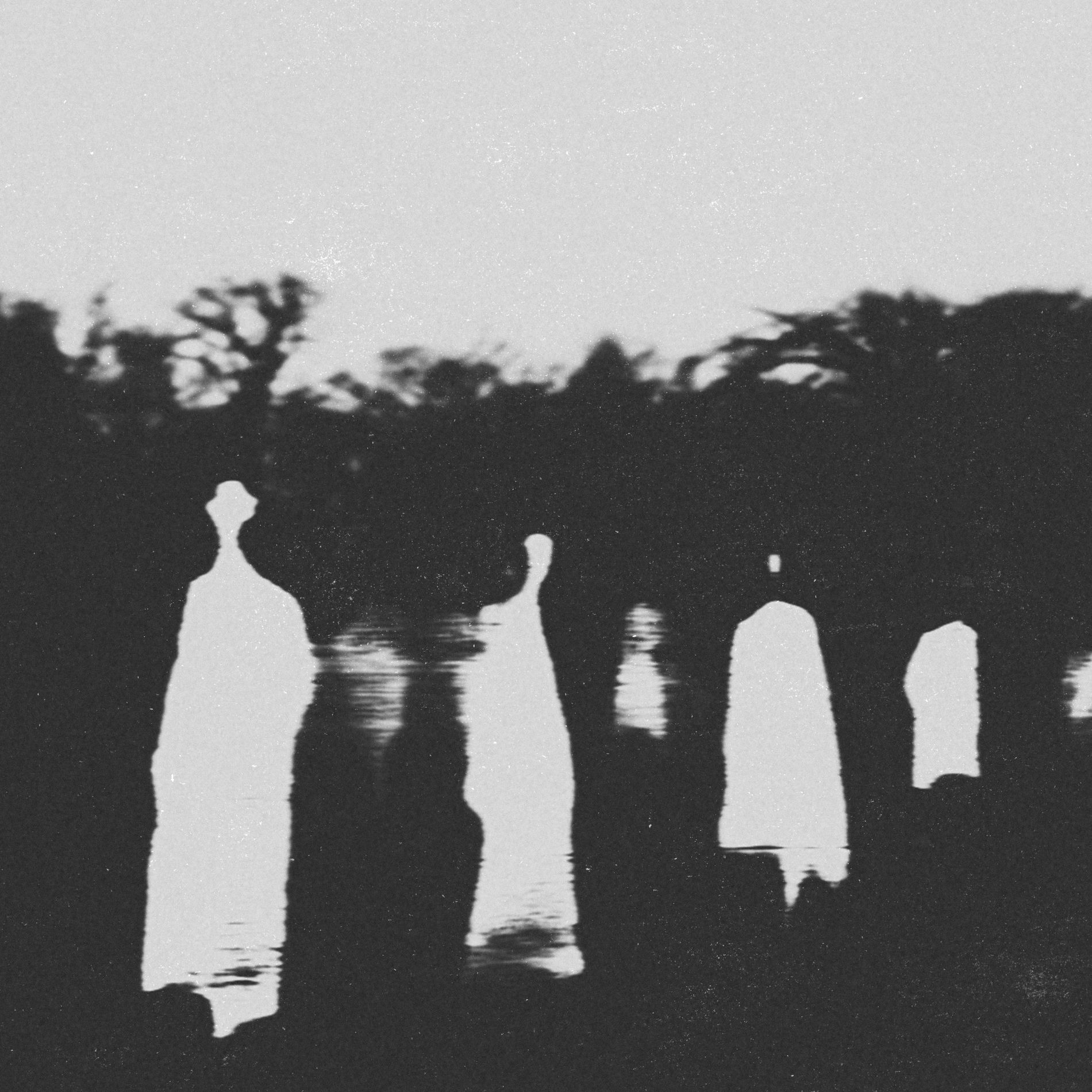 Album cover of Timeless Reflections