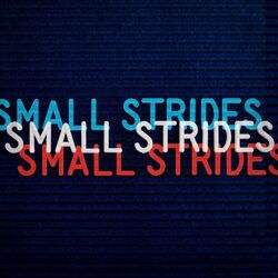Cover of Small Strides