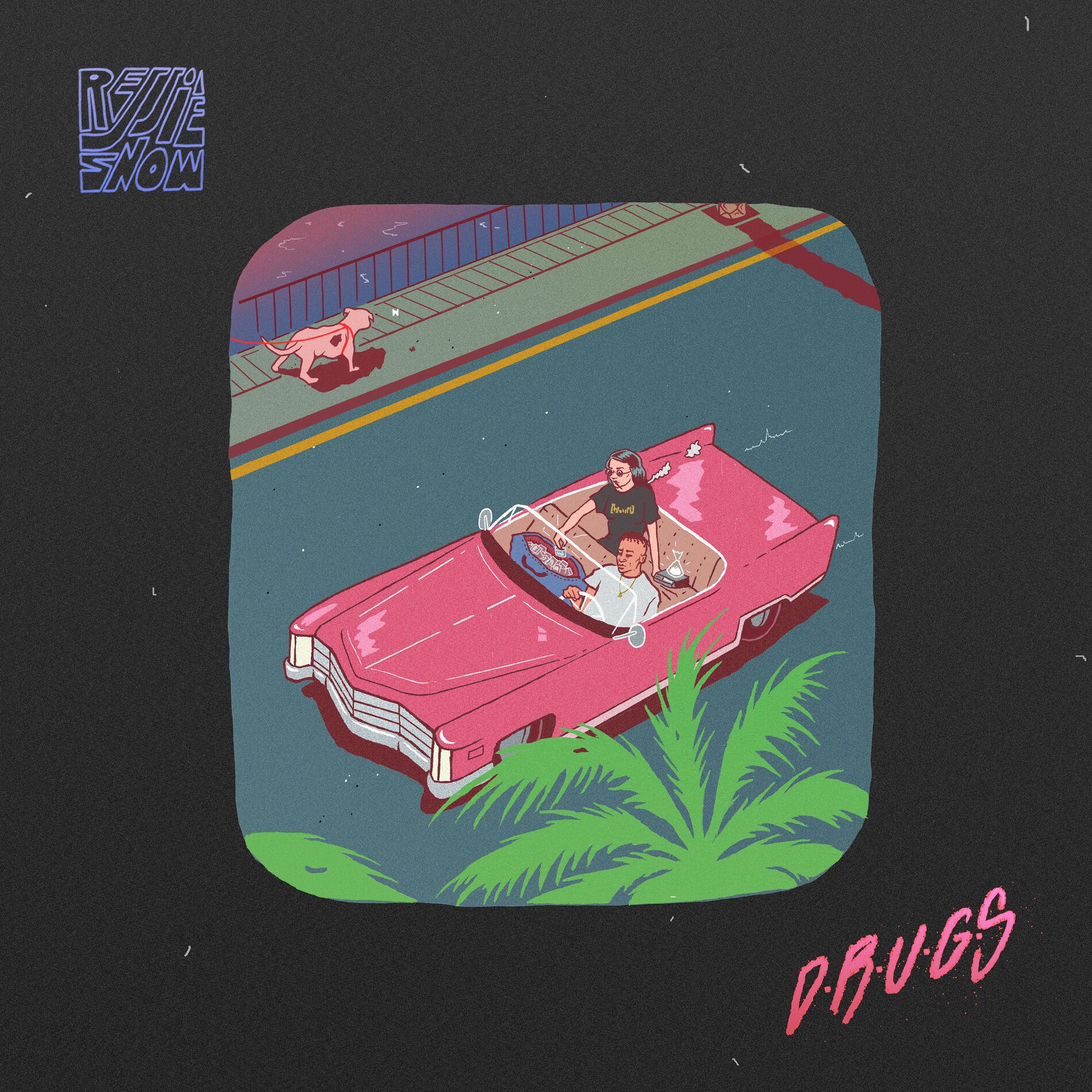 Album cover of D.R.U.G.S.