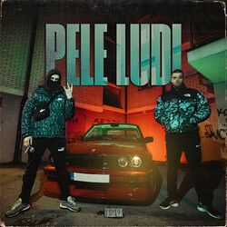 Pele ludi