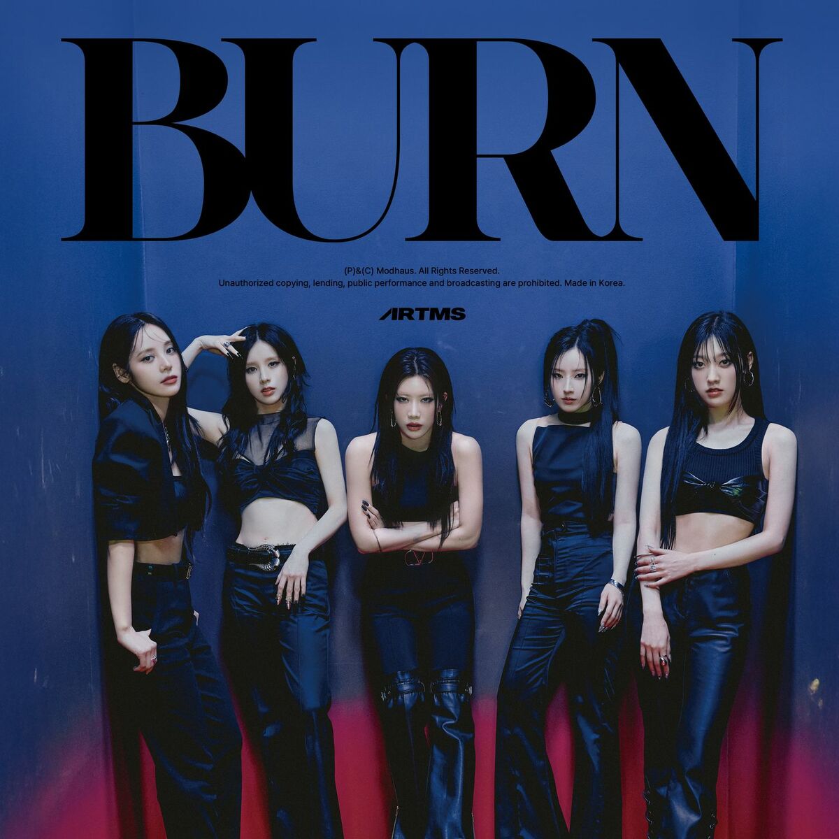 Album cover of BURN