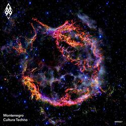 Cover of Cultura Techno