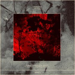 Cover of Immortal