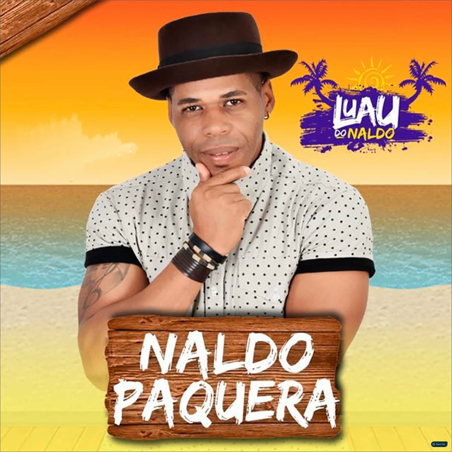 Album cover of Luau do Naldo