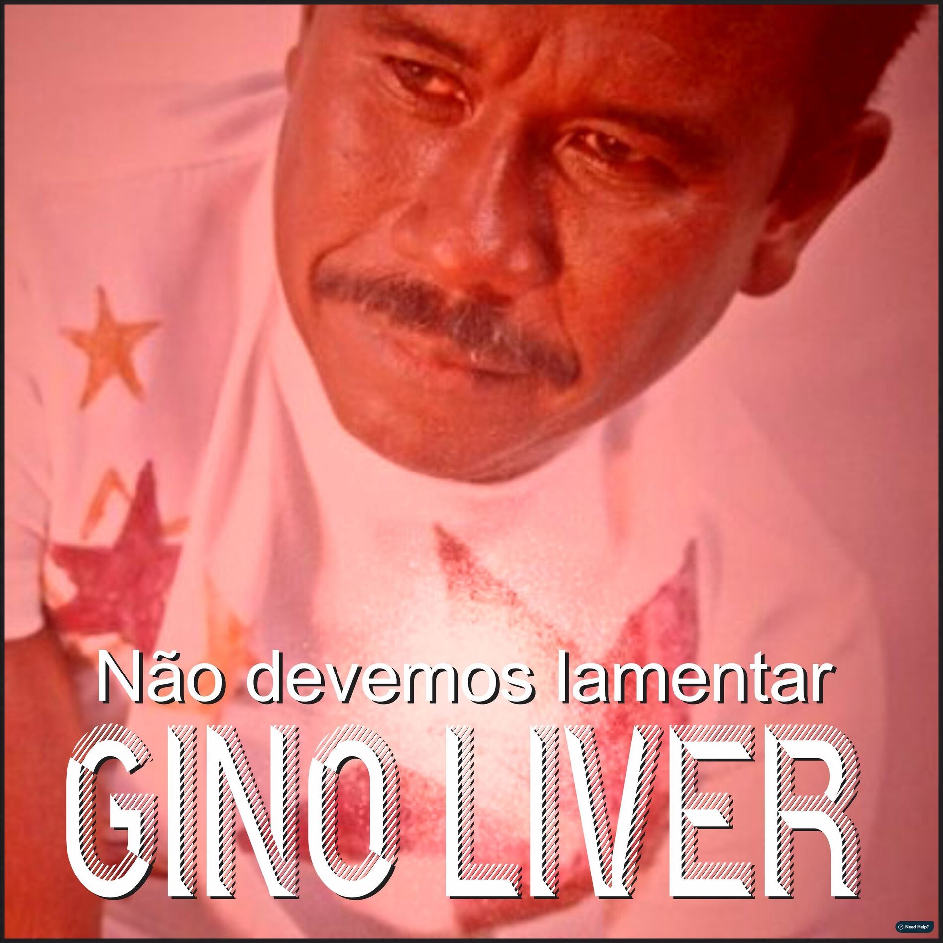 Album cover of Não Devemos Lamentar