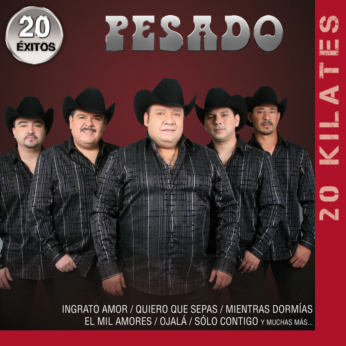 Album cover of 20 Kilates 20 Éxitos