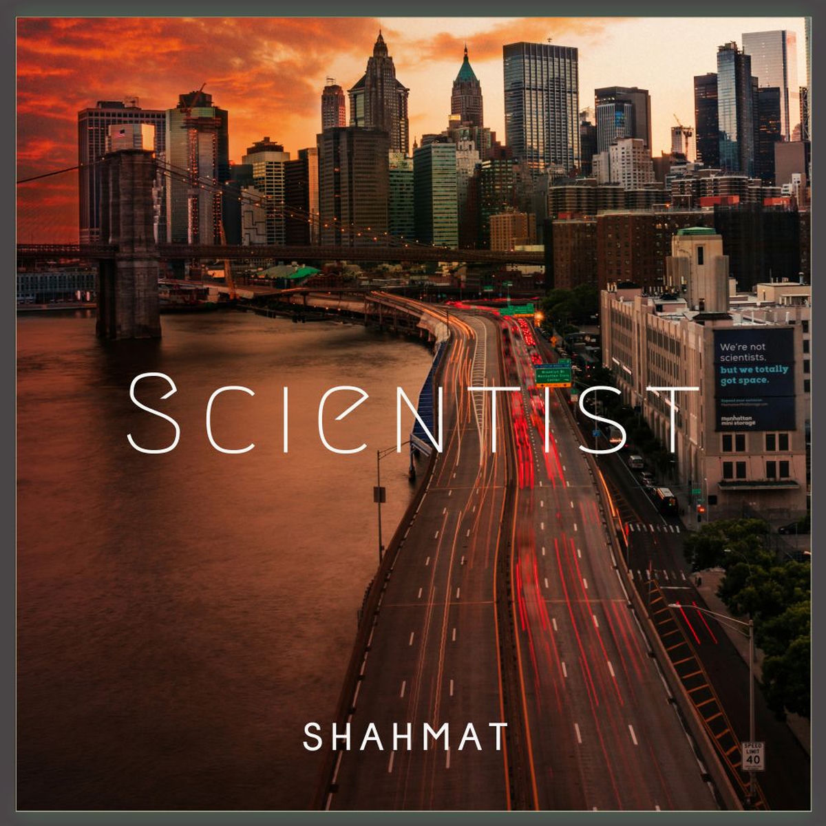 Album cover of Scientist