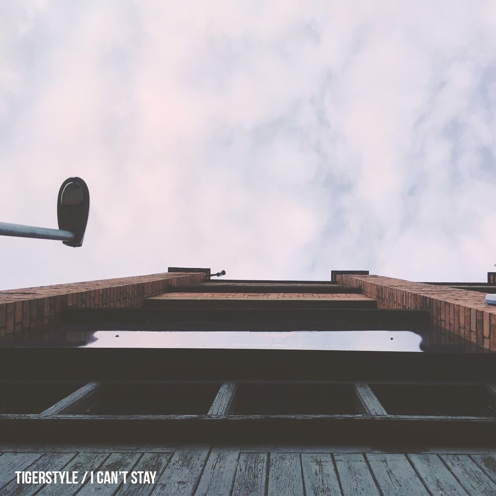 Picture of I Can't Stay
