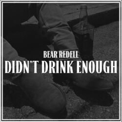 Cover of Didn't Drink Enough