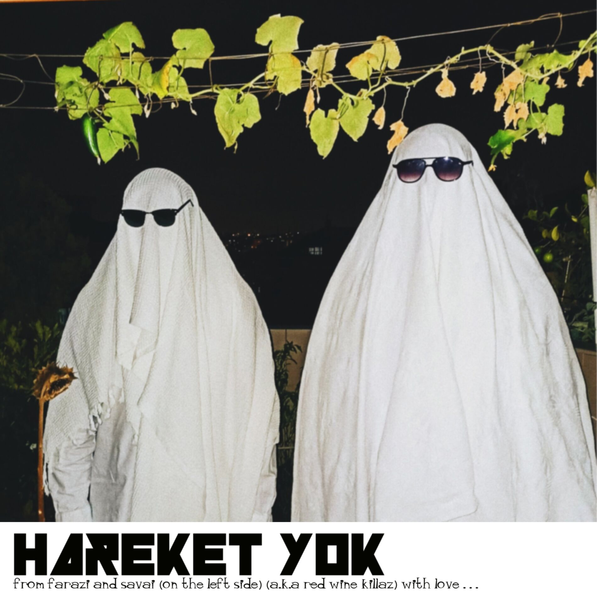 Album cover of Hareket Yok