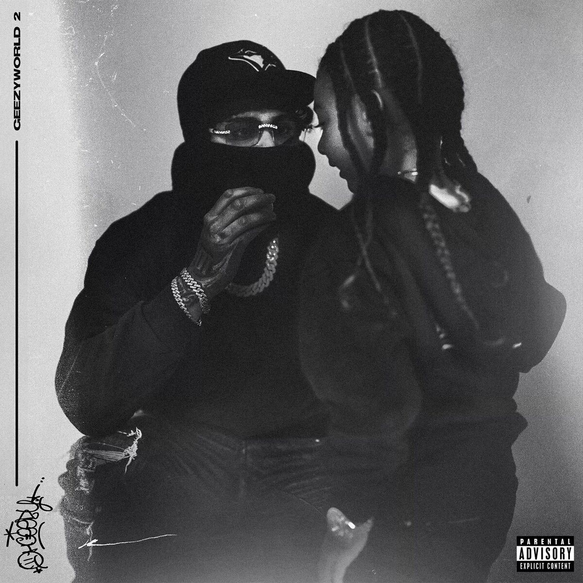 Album cover of Whip It