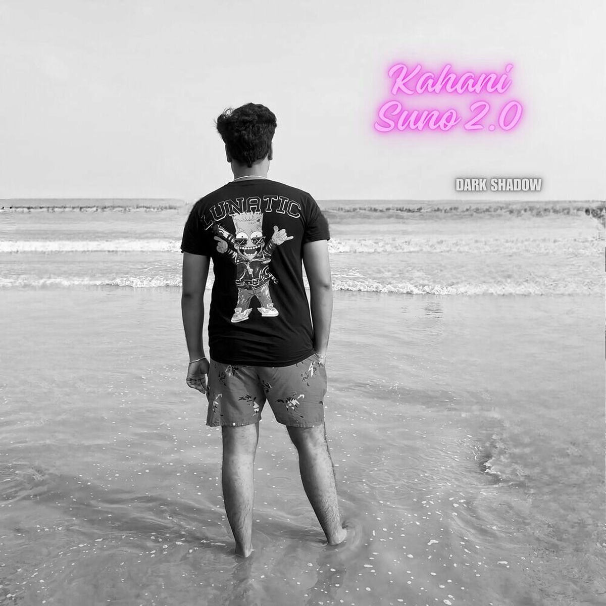 Album cover of Kahani Suno 2.0