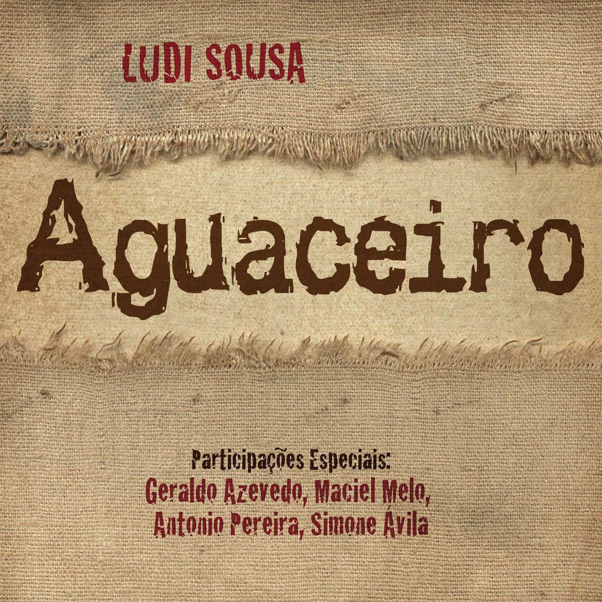 Album cover of Aguaceiro