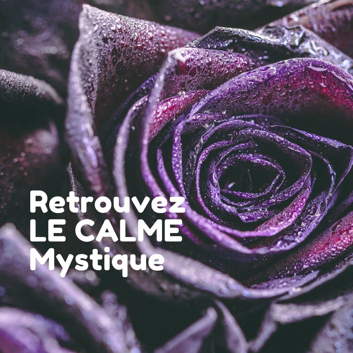 Album cover of Retrouvez le calme mystique