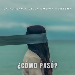 Cover of ¿Cómo Pasó?