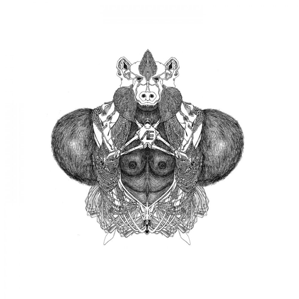 Picture of DVS1, Ryan Elliott, Sterac Remixes