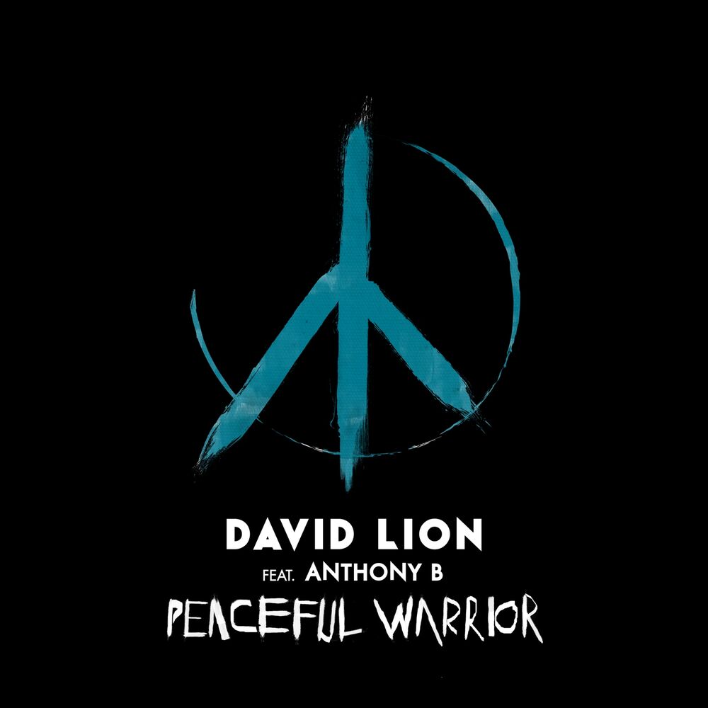 Picture of Peaceful Warrior