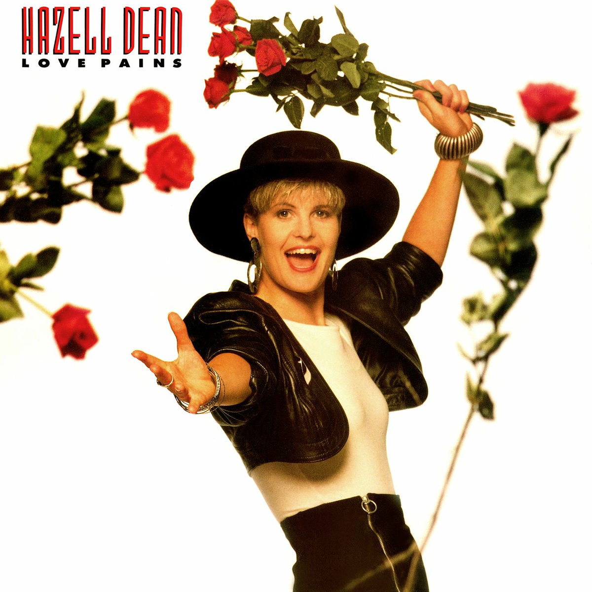 Album cover of Love Pains