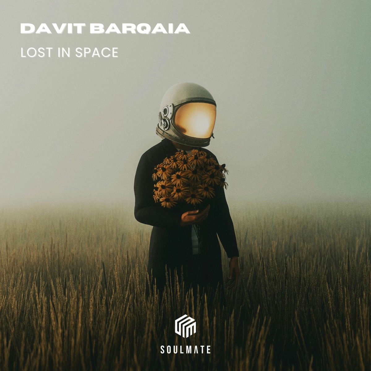 Album cover of Lost in Space