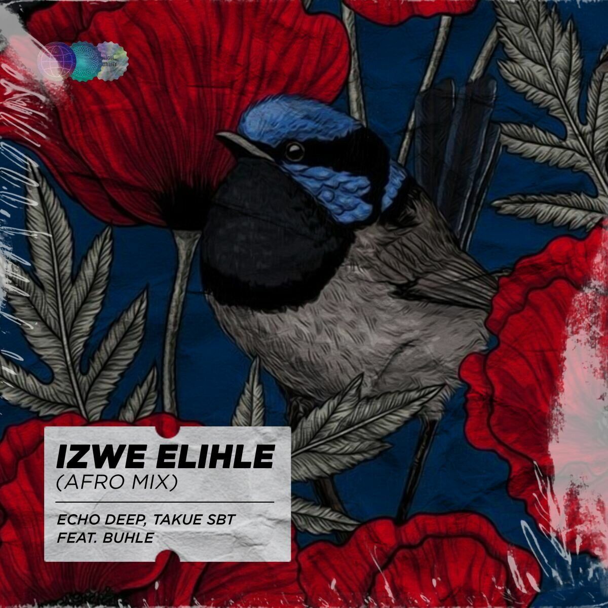 Album cover of Izwe Elihle (Afro Mix)
