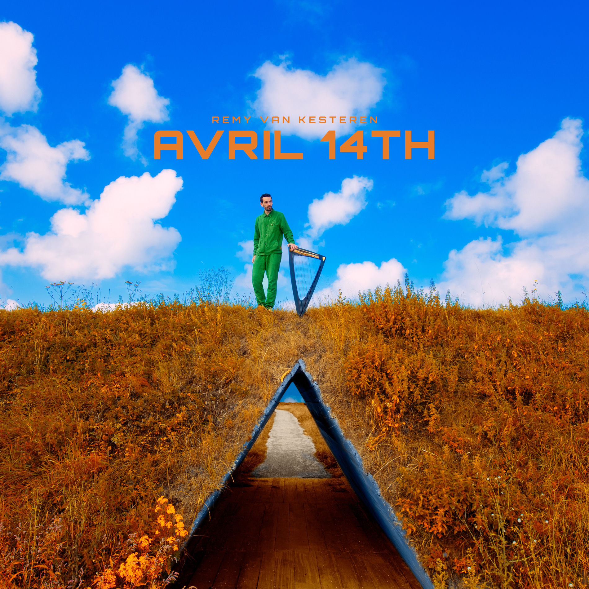 Album cover of avril 14th