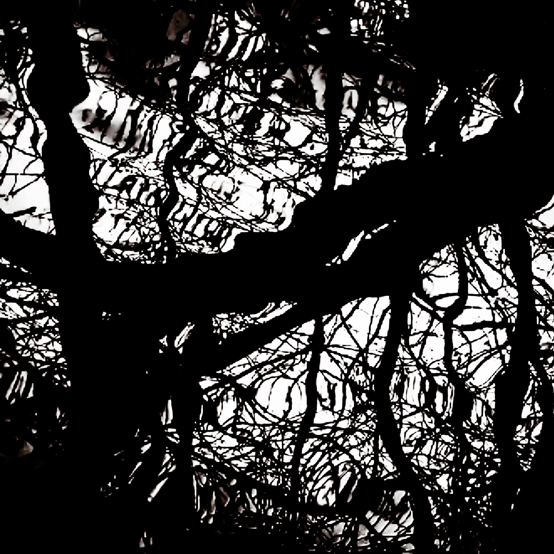 Album cover of Chemicals