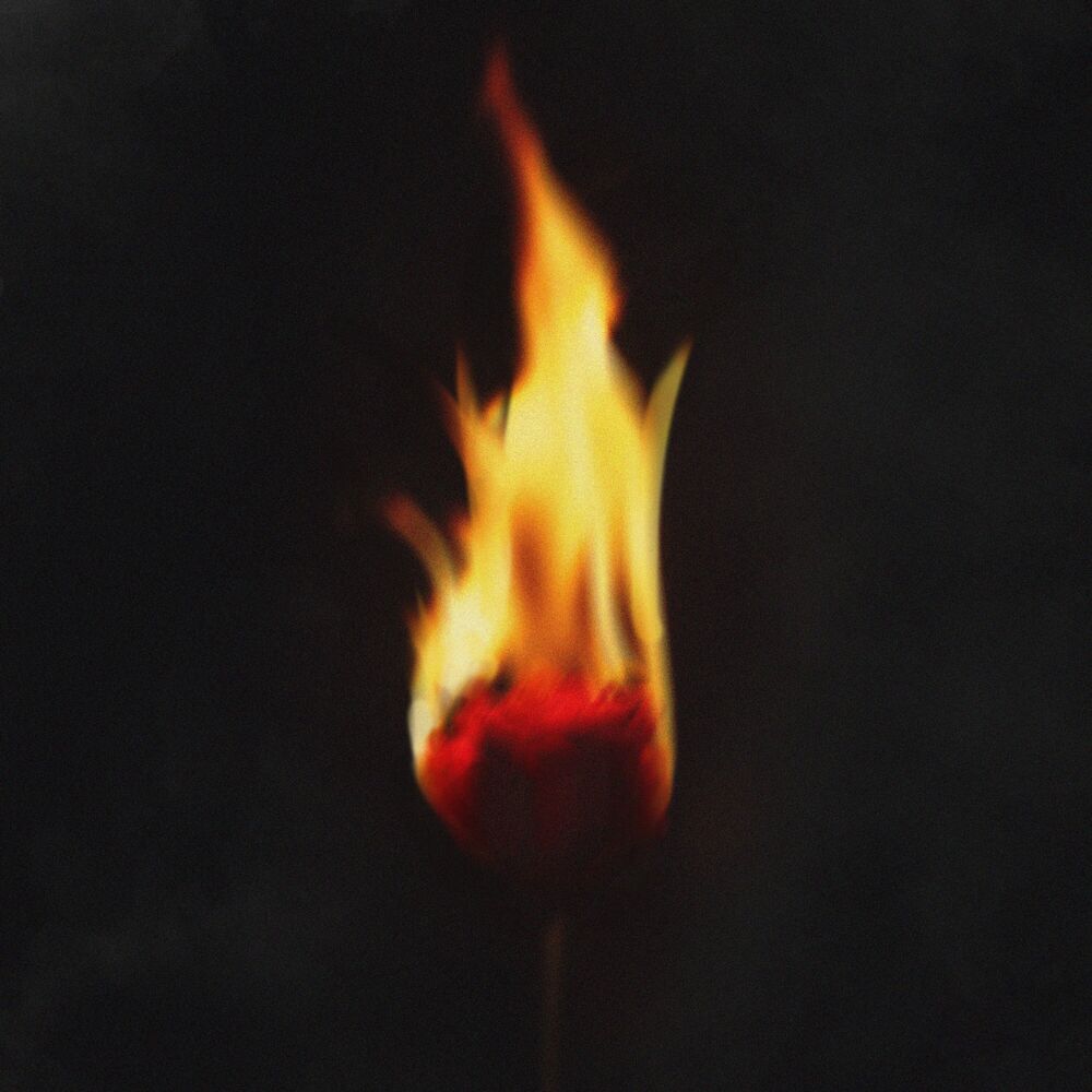 Picture of Explicit