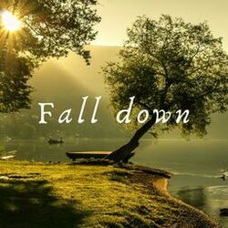 Cover of Fall down