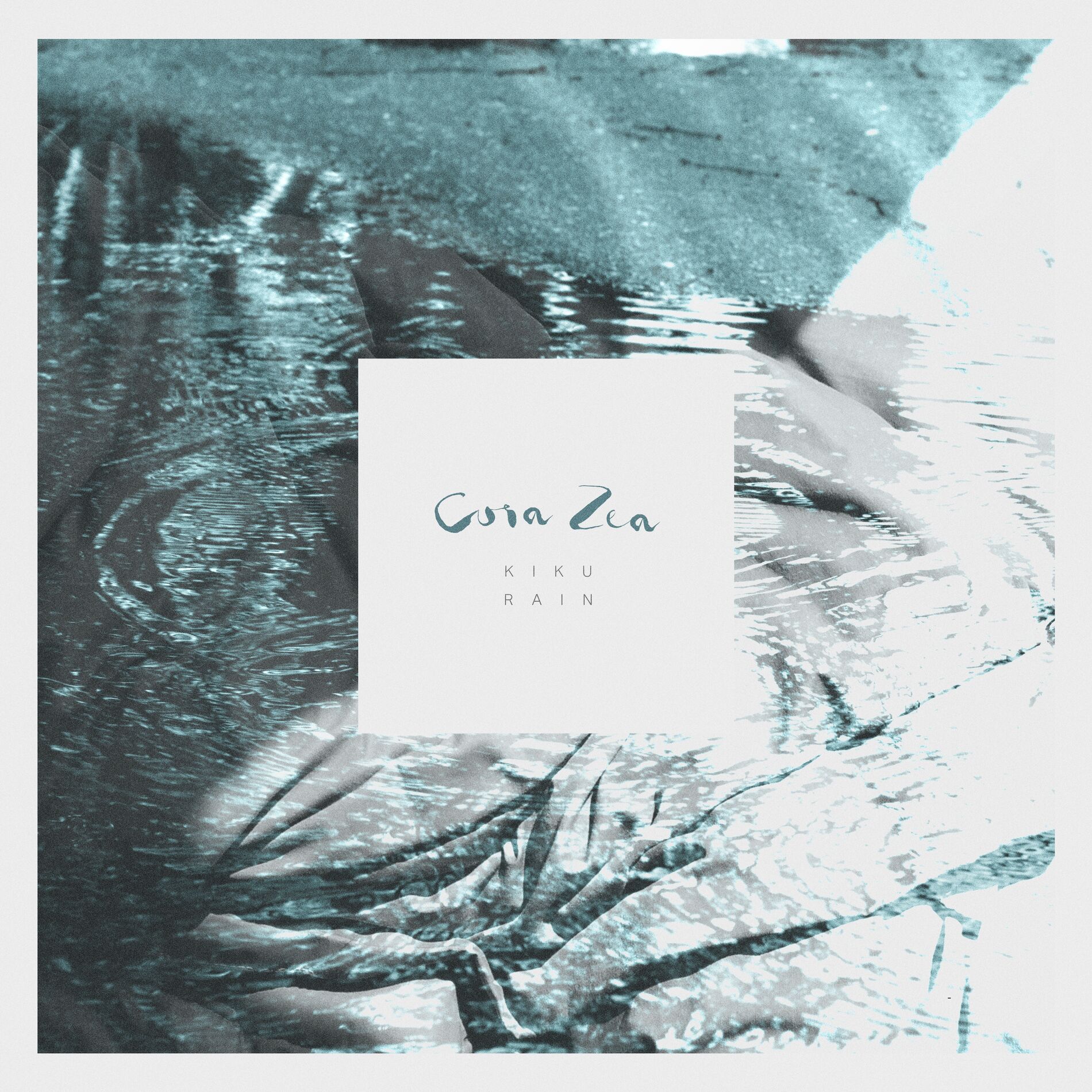 Album cover of Kiku Rain