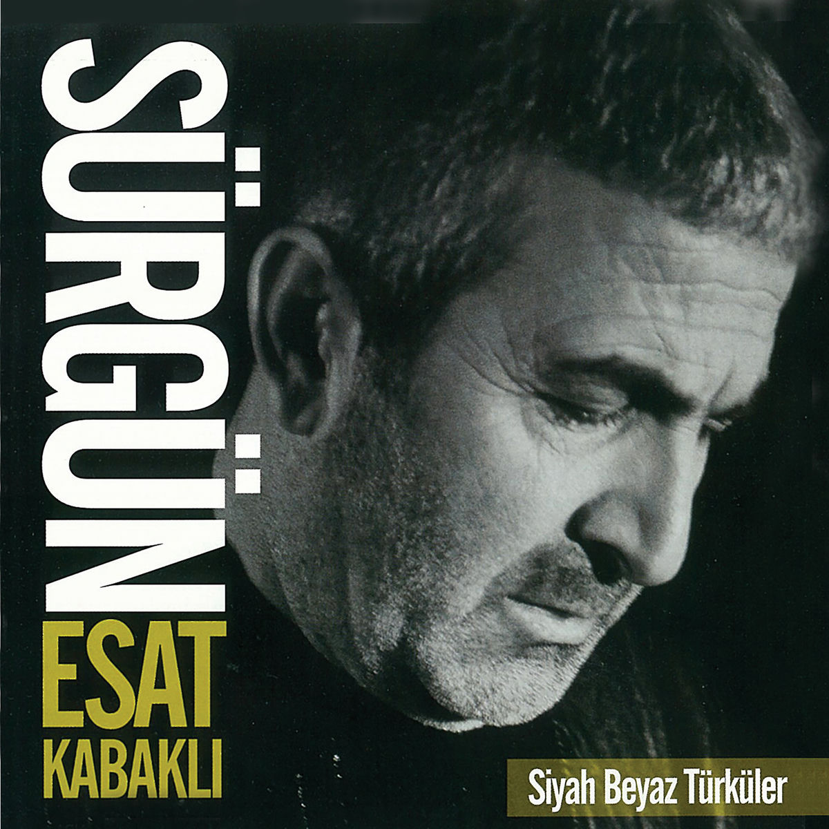Album cover of Kerkük Zindanı