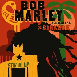 Cover of Stir It Up