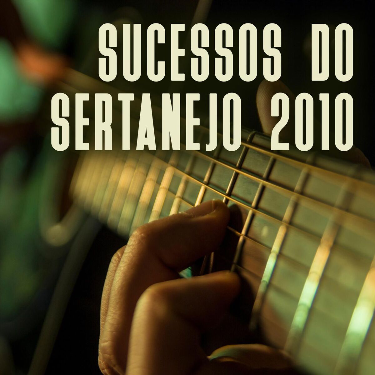 Album cover of Sucessos do Sertanejo 2010