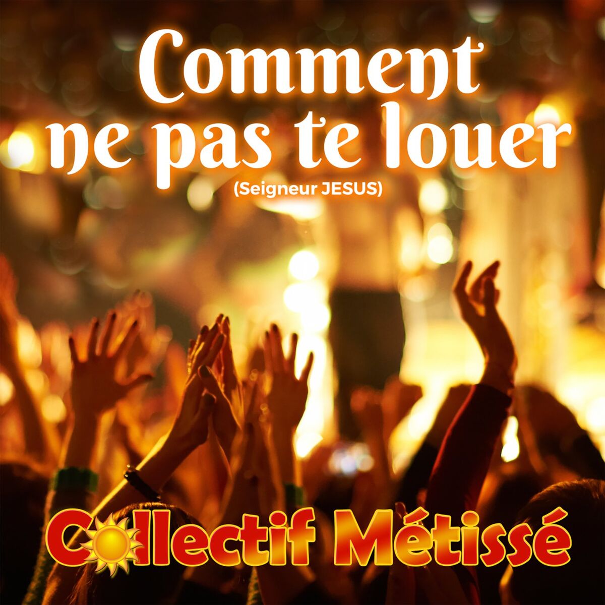 Album cover of Comment ne pas te louer