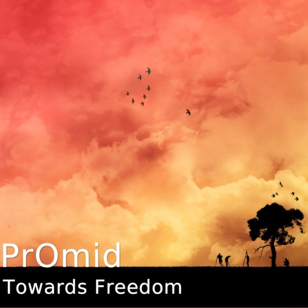 Picture of Towards Freedom
