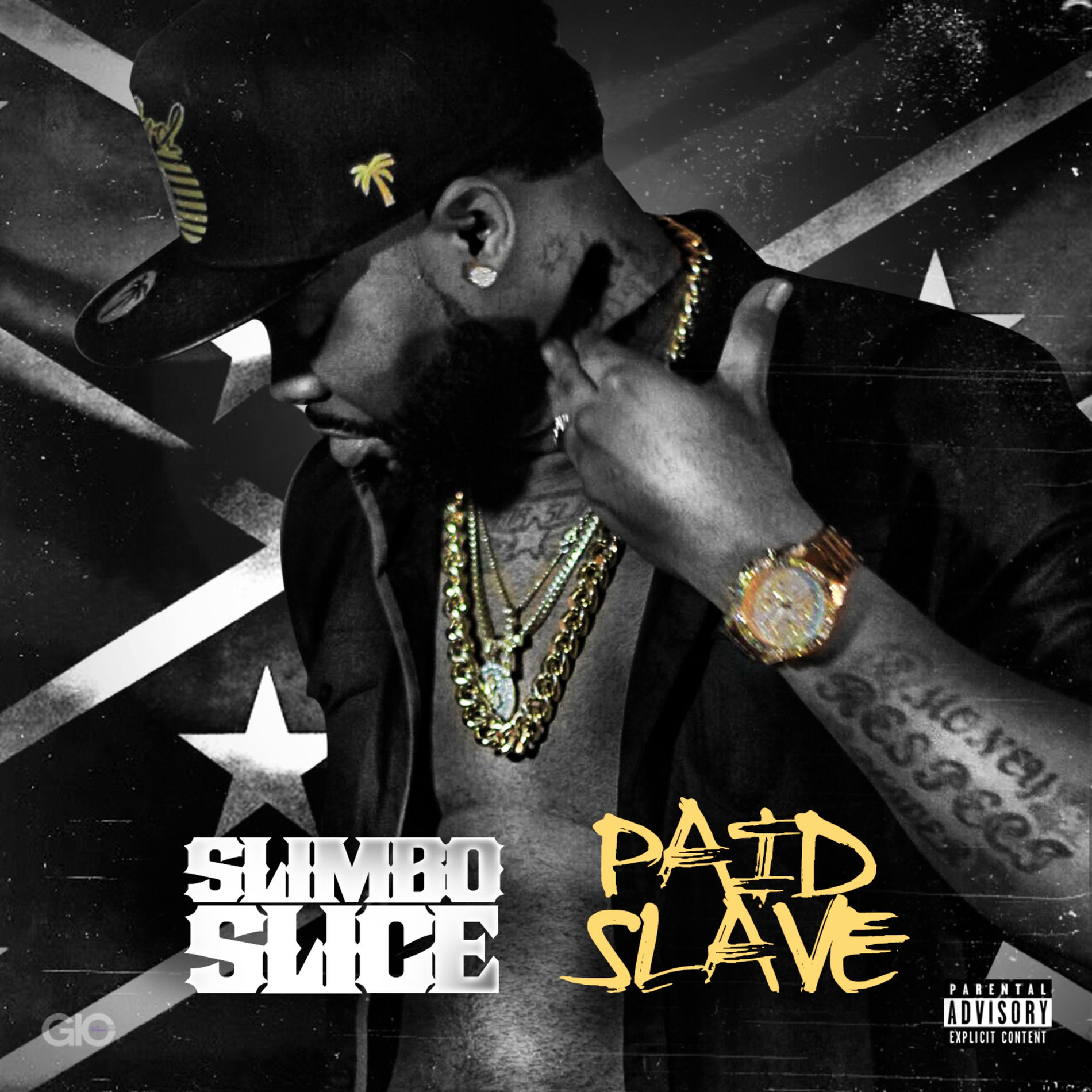 Album cover of Paid Slave