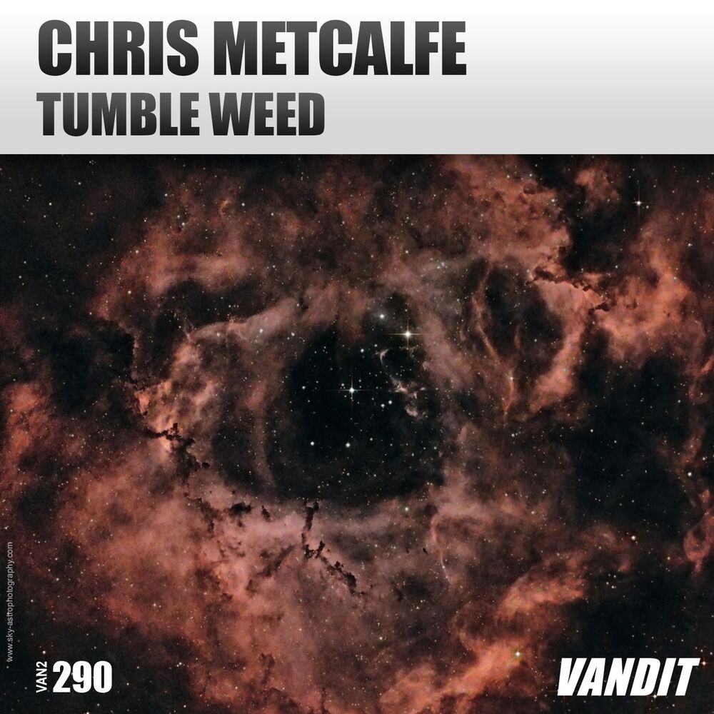 Picture of Tumbleweed