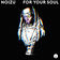 For Your Soul by Noizu album cover