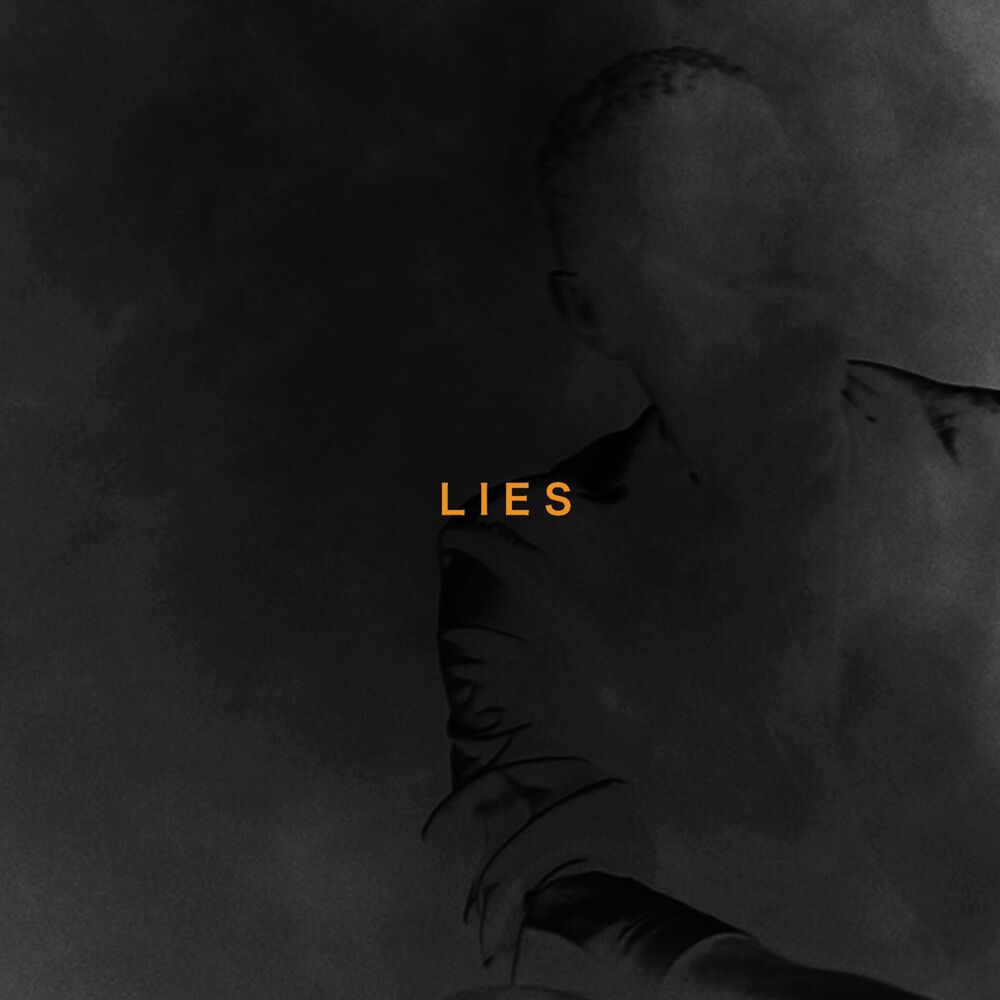 Picture of Lies (feat. Annet X)