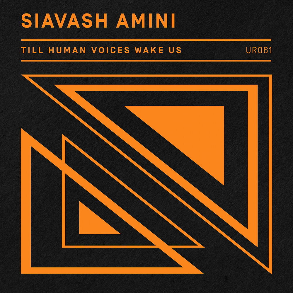 Picture of Till Human Voices Wake Us