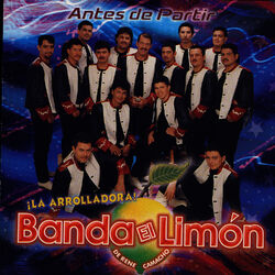 Cover of Antes De Partir