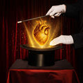 THE MAGIC