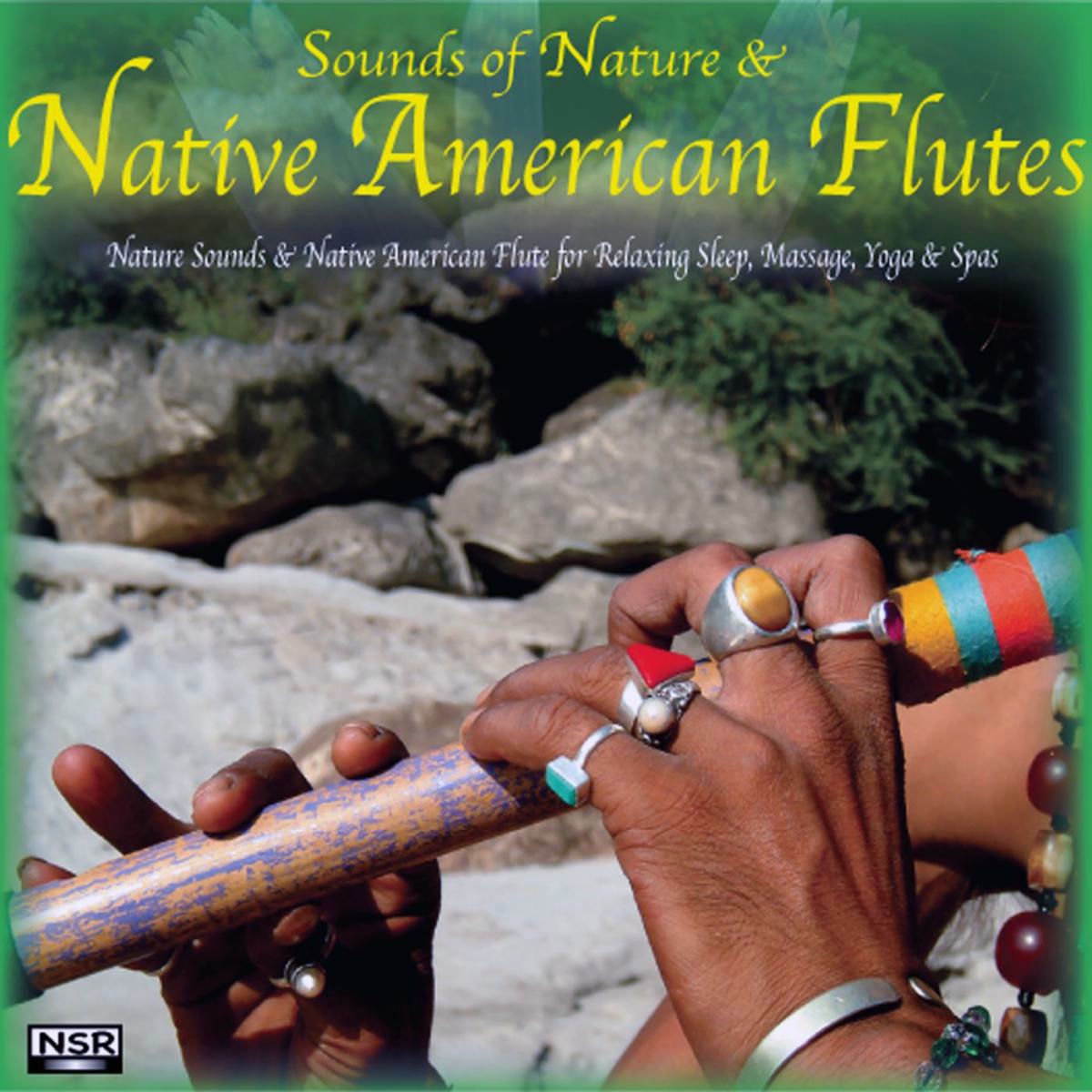 Album cover of Nature Call: Rain and Native American Flutes