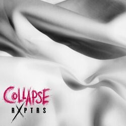 Cover of Collapse