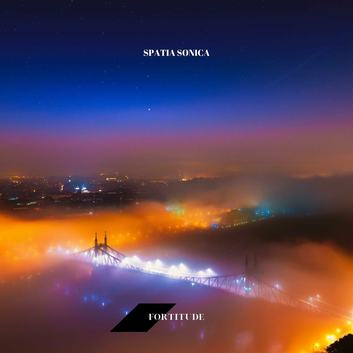 Album cover of Fortitude