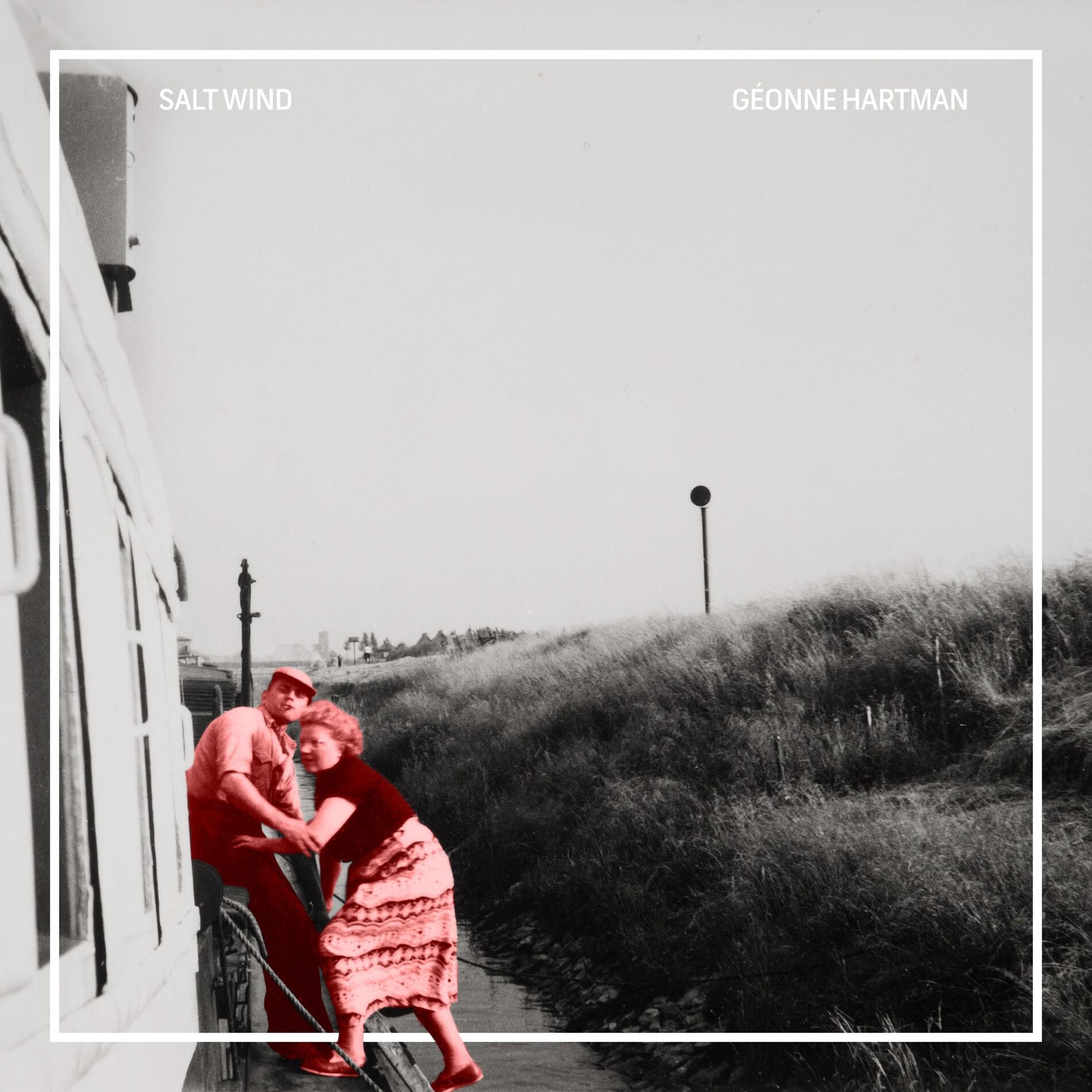 Album cover of Salt Wind