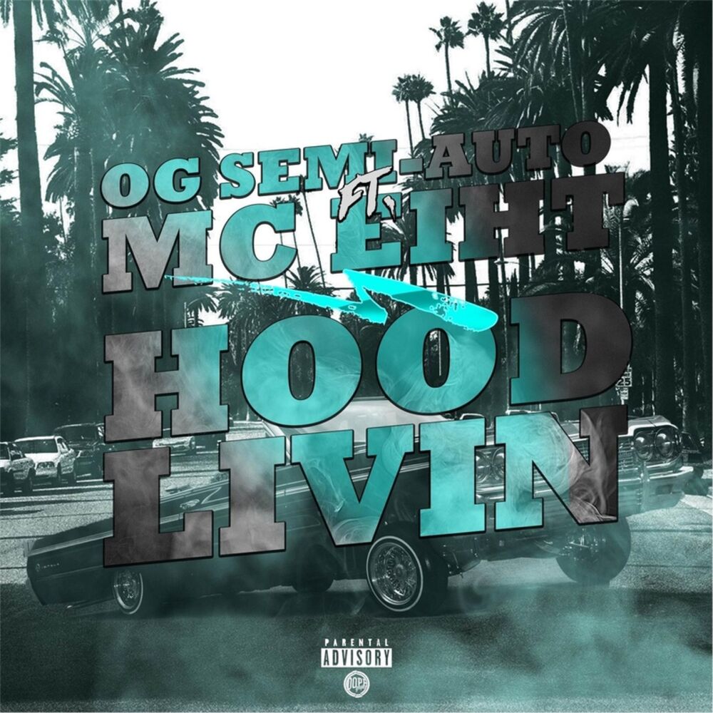 Picture of Hood Livin'