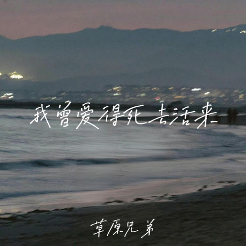 我曾爱得死去活来