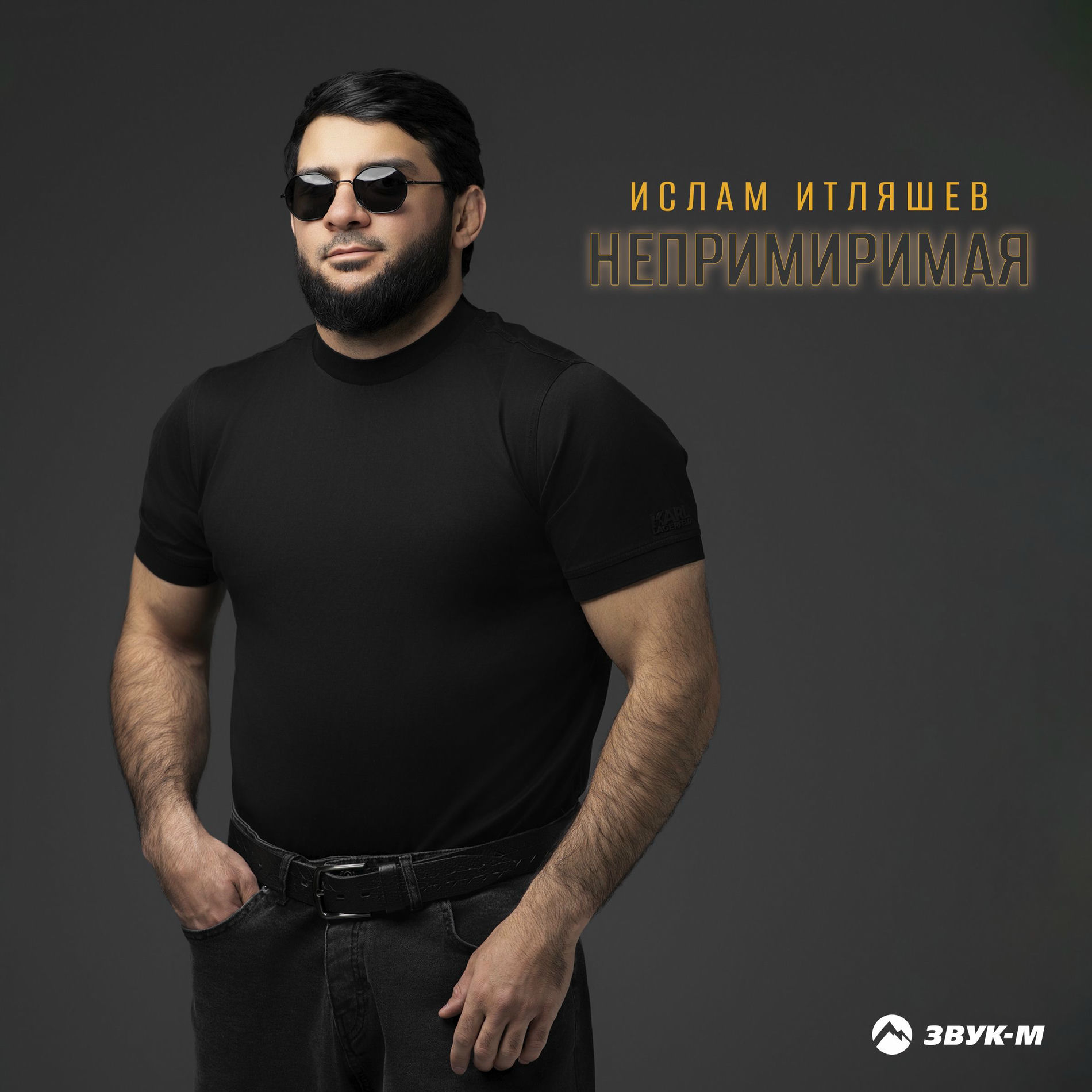 Album cover of Непримиримая